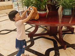 -廊坊固安福朋喜来登酒店