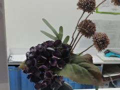 -兔博士口腔(长安分院)