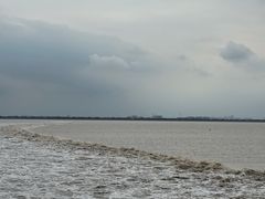 -观潮胜地公园