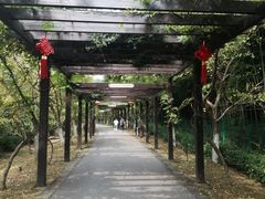 -九龙潭景区