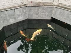 -西安市广仁寺