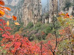 -青龙山生态文化旅游区(慈云寺)