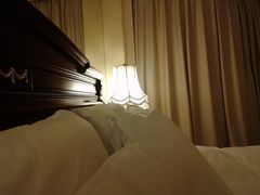 -芜湖白金汉爵大酒店