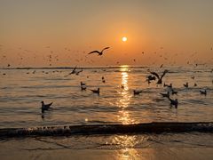 -老虎石海上公园