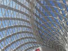 -凤凰中心