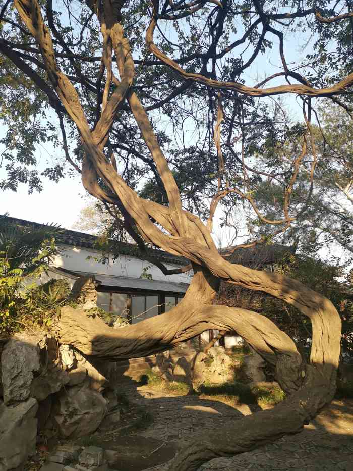 鹤园-"苏州以园林著称,这些私家的古典园林都隐藏."-大众点评移动版