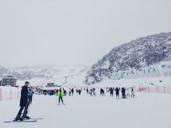 -太子岭滑雪场