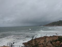 -广东惠东海龟国家级自然保护区