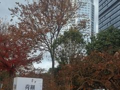 -荷风细雨·中国茶宴(碧云店)