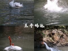 -兰亭风景区