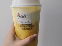 -伏小桃(明瓦廊店)