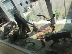 -中国第四纪冰川遗迹陈列馆