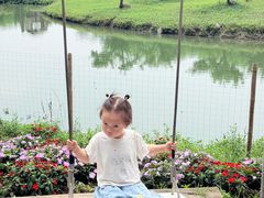 -乌村
