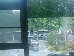 -巴陵全鱼席(湖南老字号汴河街店 )