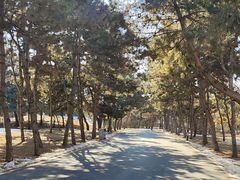 -北陵公园