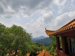 -深圳仙湖植物园