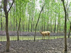 -溱湖国家湿地公园