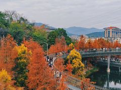 -梅峰山地公园