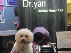 -严国平动物医院(德政总院)