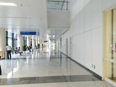 -首都医科大学附属北京天坛医院