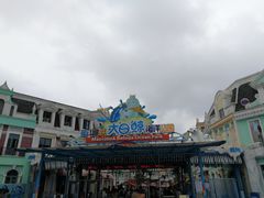 -芜湖新华联大白鲸海洋公园