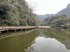 -青城山