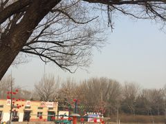 -北京亚布洛尼朝阳公园滑雪场