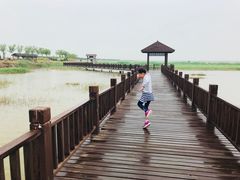 -南大港湿地风景区