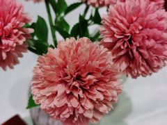 -大鸭梨烤鸭店(光彩店)