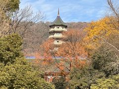 -灵谷景区