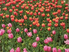 -长春公园(普阳街道)