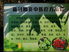 -华南国家植物园-售票处