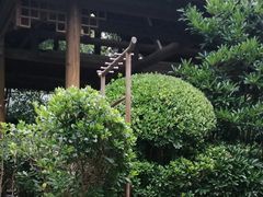 -西安国际创新人才交流中心•药浴温泉