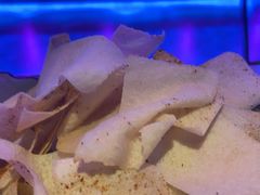 -燥次·烧烤酒场(万象城店)