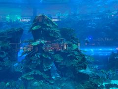-迪拜水族馆及水下动物园