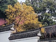 -宁波市保国寺古建筑博物馆
