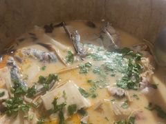 -云中鱼蒸汽石锅鱼(川沙百联店)