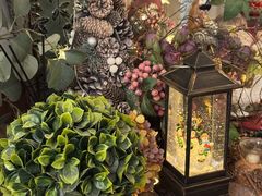 -春风·有糖(崇宁路店)