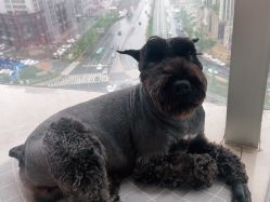 -Hello Lady发型设计