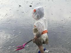 -南汇嘴观海公园