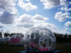 -春花秋色城市公园