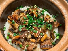 -红星光发煲仔饭(文海店)