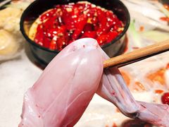 -老酉火锅(阳明古镇店)