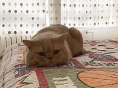 -海胆小馆(东北水饺·春柳店)