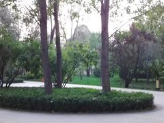-迎泽公园