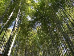 -宝岩生态观光园