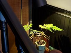 -31号公馆(黄兴广场白果园店)