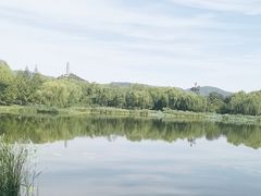 -北坞公园