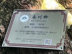 -西湖外事游船(花港观鱼码头)