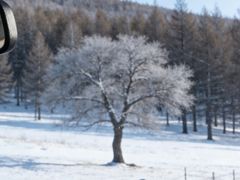 -塞罕坝国家级自然保护区